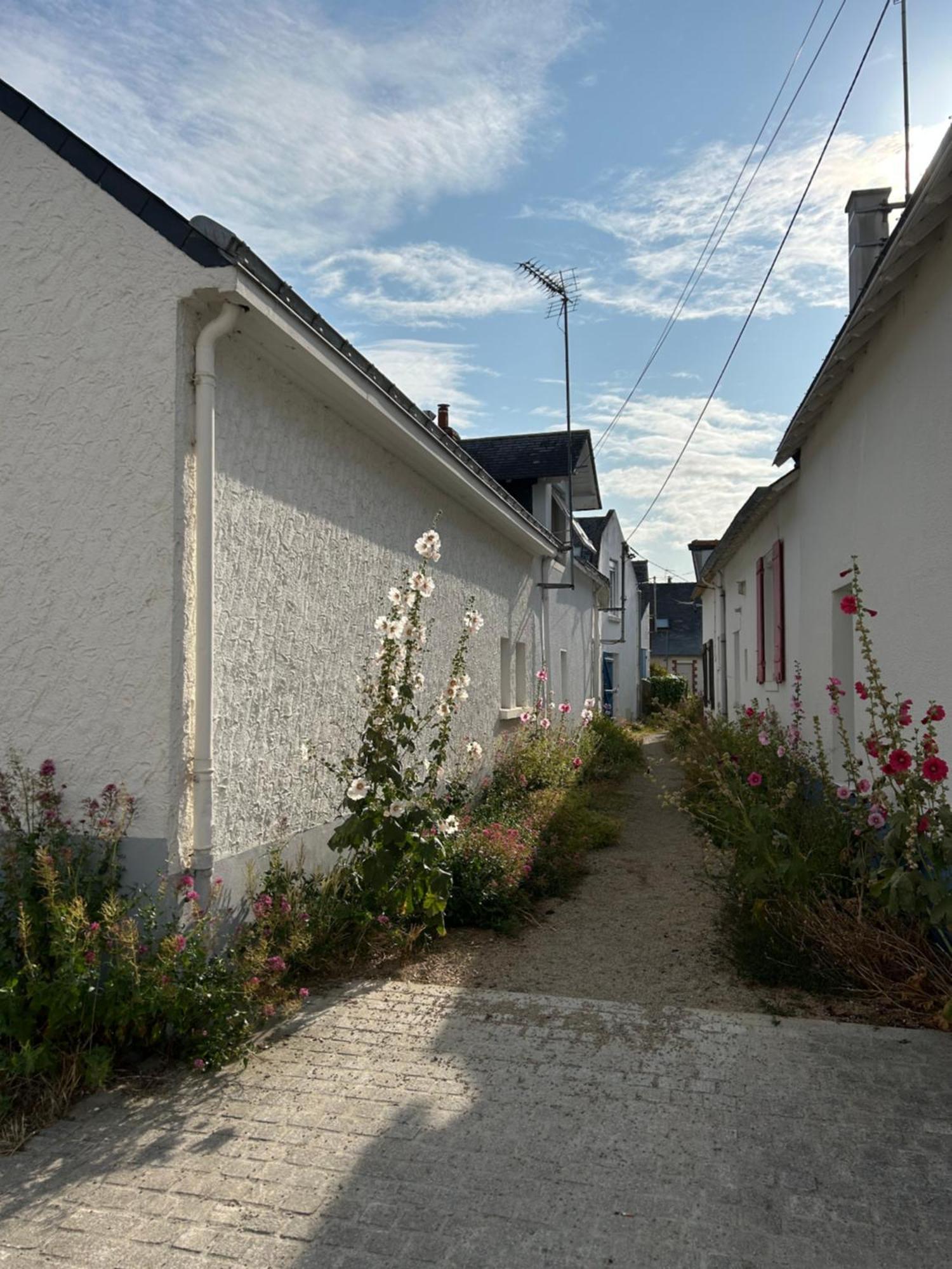 Villa En Bord De Mer 포르니세 외부 사진